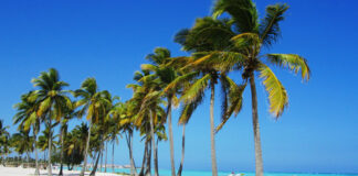 Turismo convencional y sostenible en el país