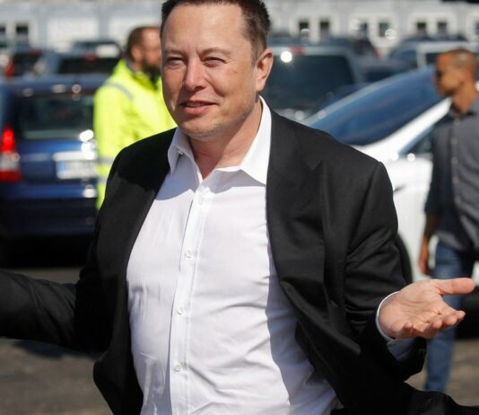 Estados Unidos: Por qué los gatos pueden ser un “problema” para Elon Musk