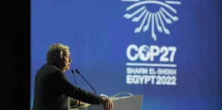 COP27: «Cooperar contra el cambio climático o morir», el dramático mensaje que abrió la Cumbre del clima en Egipto