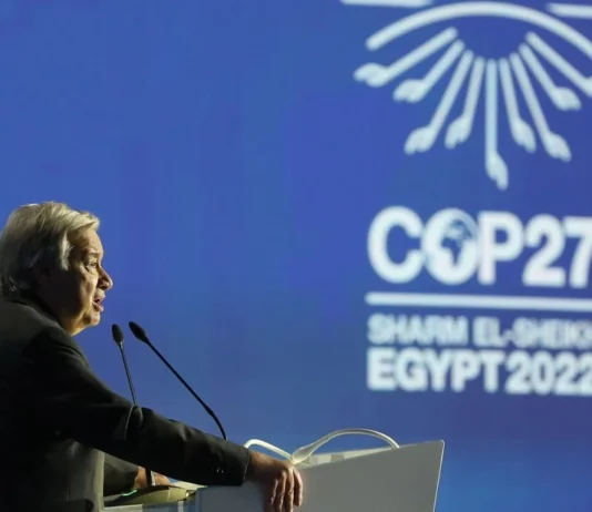 COP27: «Cooperar contra el cambio climático o morir», el dramático mensaje que abrió la Cumbre del clima en Egipto