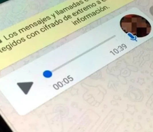 WhatsApp: cómo activar el bot que permite transcribir los audios a texto