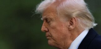 Lunes negro para los mercados: Asia y Europa se hunden al ritmo de la agitación arancelaria de Trump